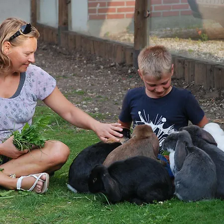 Hanstholm Camping מלון 2*