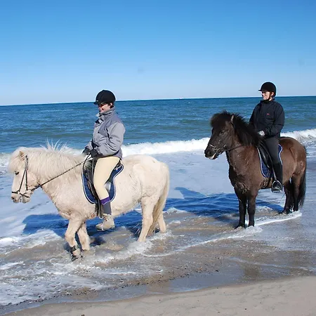 Hanstholm Camping הנסטהולם