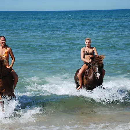 Hanstholm Camping מלון הנסטהולם