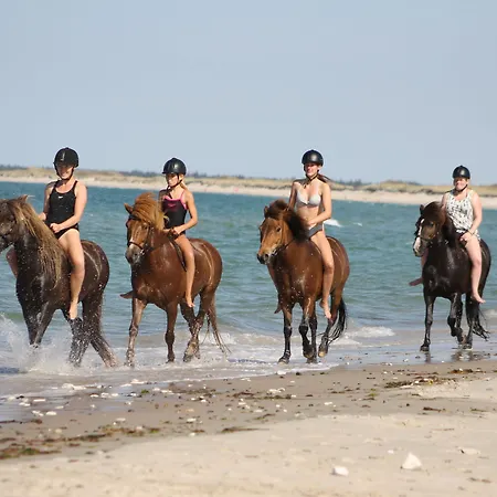 Hanstholm Camping מלון 2*