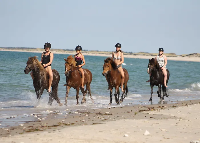 Hanstholm Camping Hotel 2*